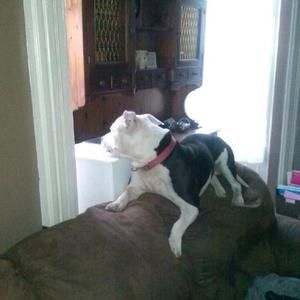 Meet your Posher, Scott